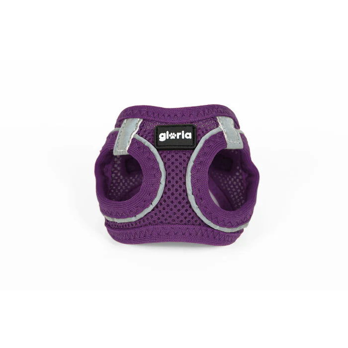 Gloria Air Mesh Dog Harness - Purple