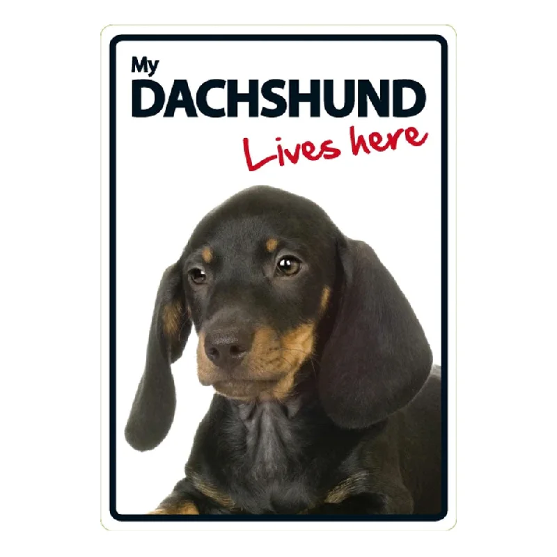 Dog Sign Dachshund Lives Here